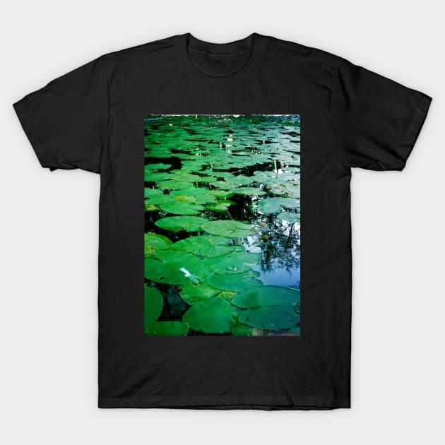 Lily Pads T-Shirt by 1Redbublppasswo